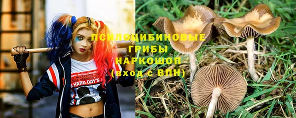 винт Магас