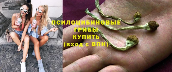 стаф Данков