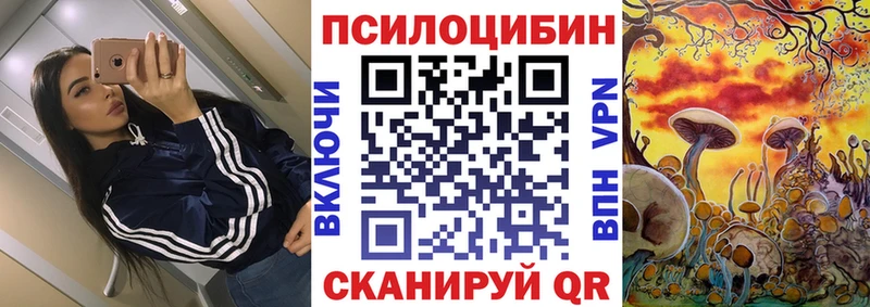 Купить закладки  Киржач  Галлюциногенные грибы Psilocybe 